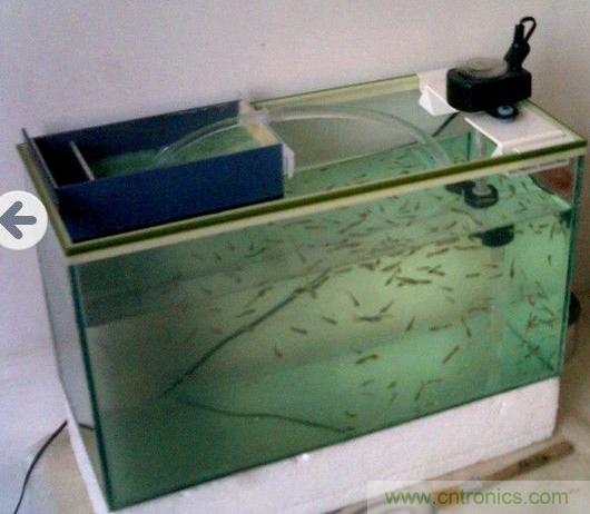 DIY初學(xué)者福音:魚(yú)缸無(wú)刷水泵DIY(高清)