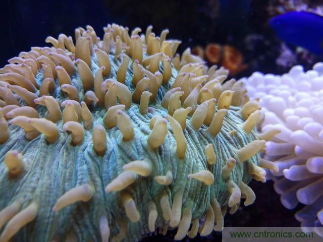 Hi-Fi革命！vivo X6 Plus深度評測：夠快才暢快