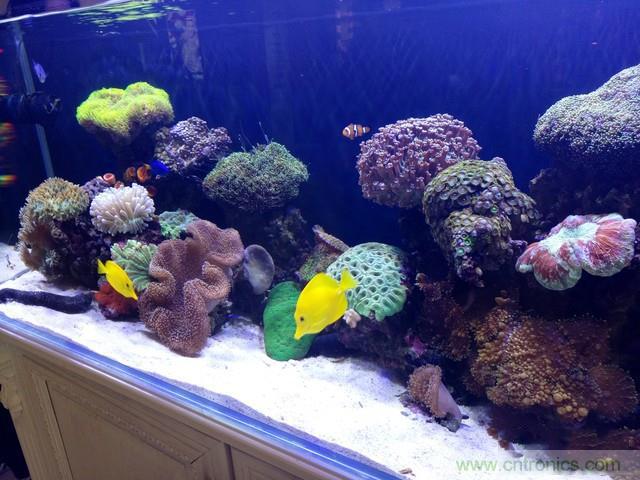 Hi-Fi革命！vivo X6 Plus深度評測：夠快才暢快