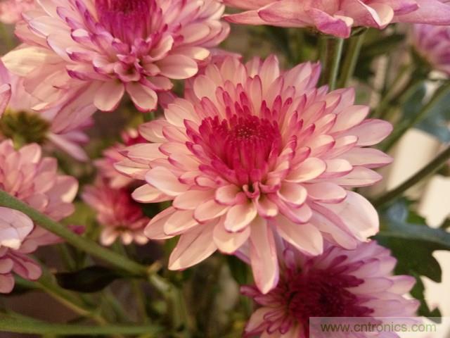 Hi-Fi革命！vivo X6 Plus深度評測：夠快才暢快