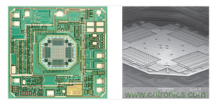  ADXL202 &plusmn;2 g加速度計。