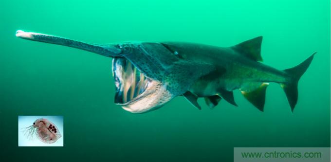 檢測(cè)不到信號(hào)，是加點(diǎn)噪聲？還是濾除噪聲？