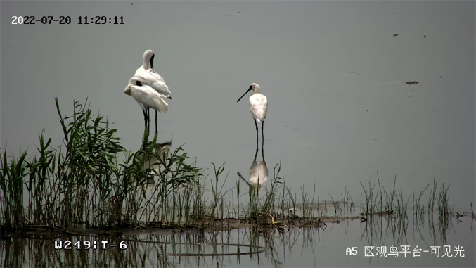 ?？低暟l(fā)布2022年ESG報告：科技為善，助力可持續(xù)的美好未來