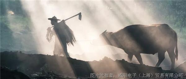 智慧農(nóng)業(yè)大有可為，“數(shù)字種地”更輕松