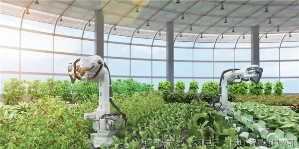 智慧農(nóng)業(yè)大有可為，“數(shù)字種地”更輕松